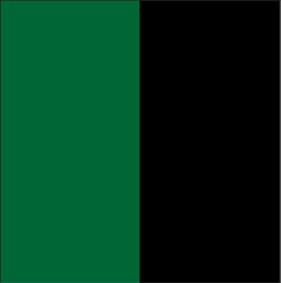 grün-schwarz 529