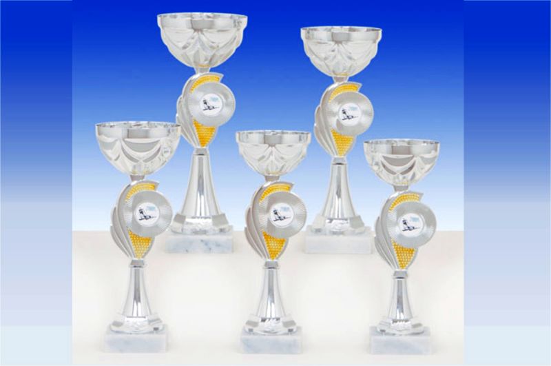 Cup Pokale in silber-gold 