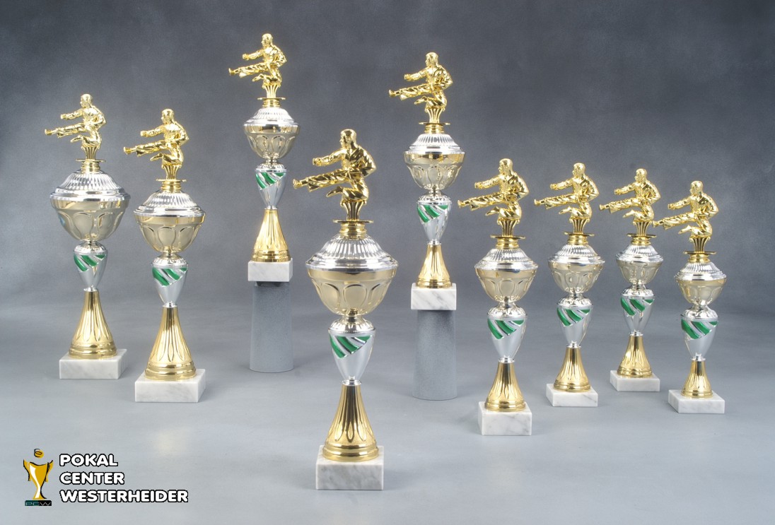 Taekwondo Pokale 'Turin' 7017-38235