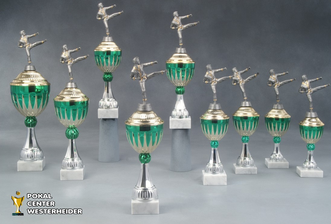 Karate Pokale 'Phoenix' 7041-34280